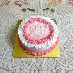 Mango / Orange / Lemon Bento Cake — Shah-Roj Home Made Cake