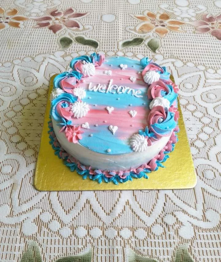 Chocolate Sponge Cake — Shah-Roj Home Made Cake